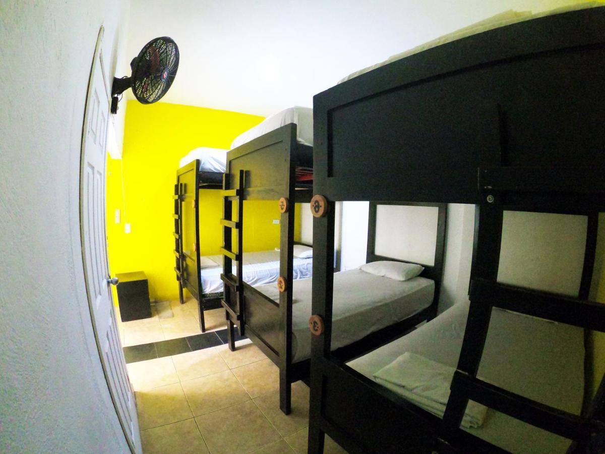 Kiwi Suites HostelMontañita エクステリア 写真